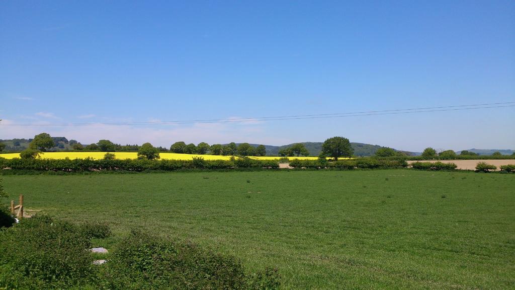 Upper Letton Farm Bed & Breakfast Leintwardine Екстериор снимка