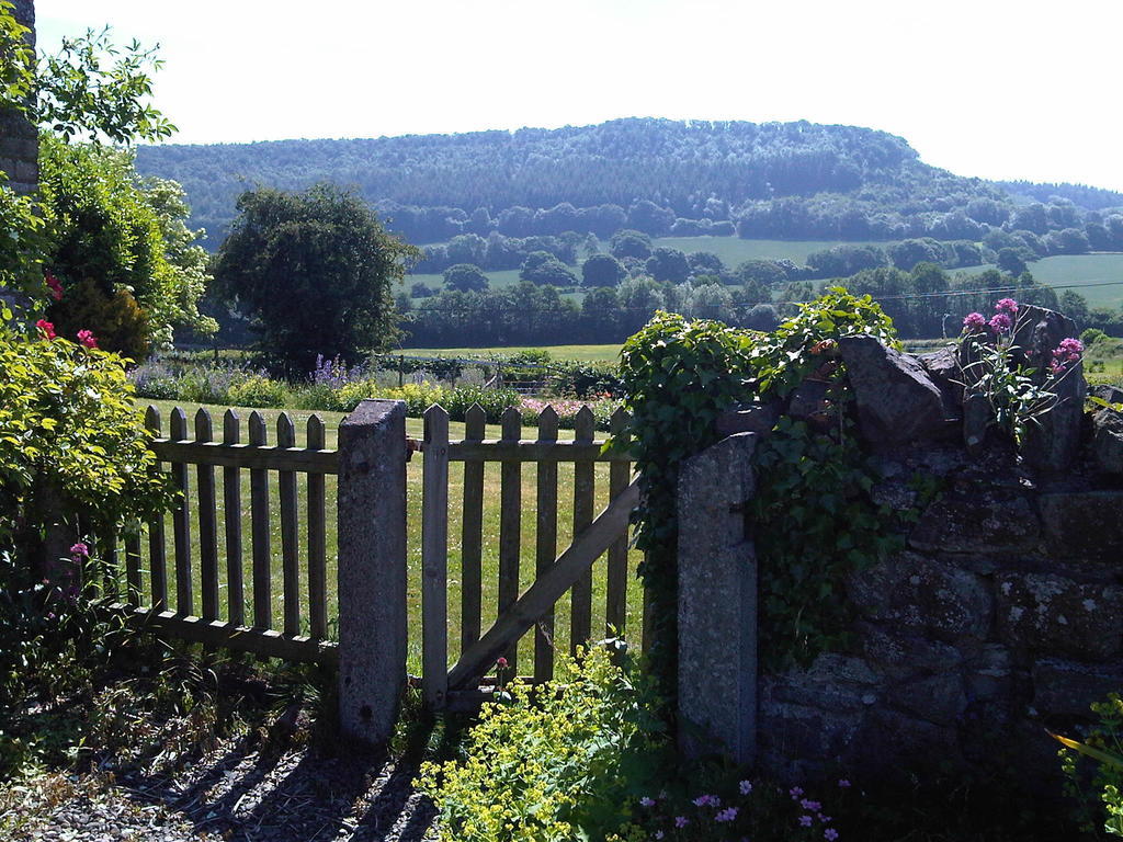 Upper Letton Farm Bed & Breakfast Leintwardine Екстериор снимка