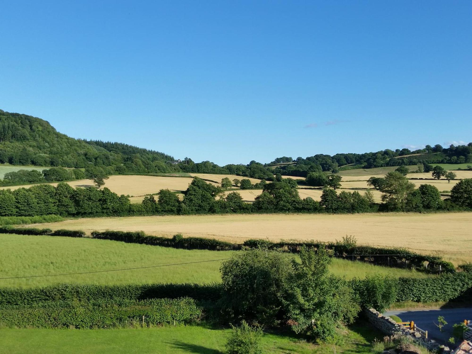 Upper Letton Farm Bed & Breakfast Leintwardine Екстериор снимка